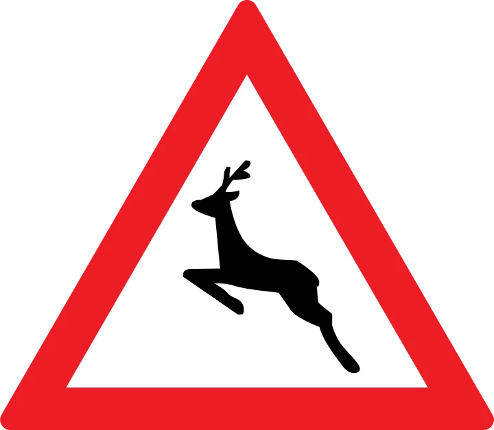 Animale