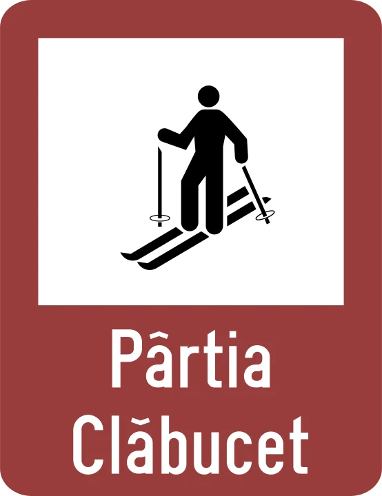 Pârtie schi